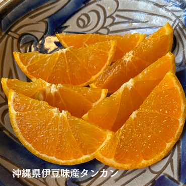（予約販売開始）沖縄県産タンカン5kg ご家庭用（送料込み）