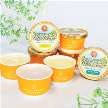 （送料無料）うるまジェラート8個セット