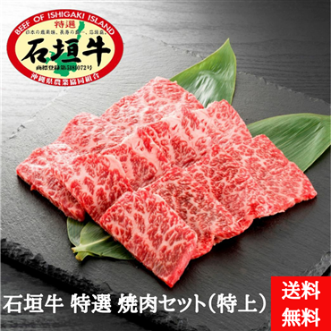石垣牛　特選　焼肉セット（特上）500g（送料無料）