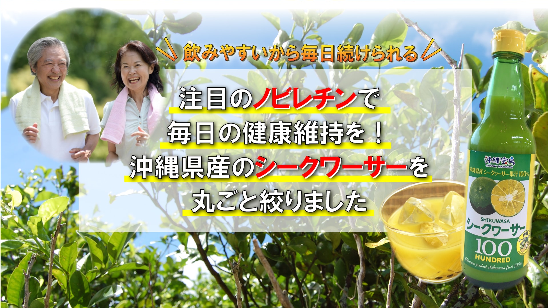 沖縄県産シークヮーサー果汁100％360ml: 沖縄宝島｜JAL Mall