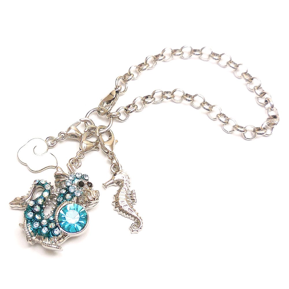 シルバー/ブルーカラー