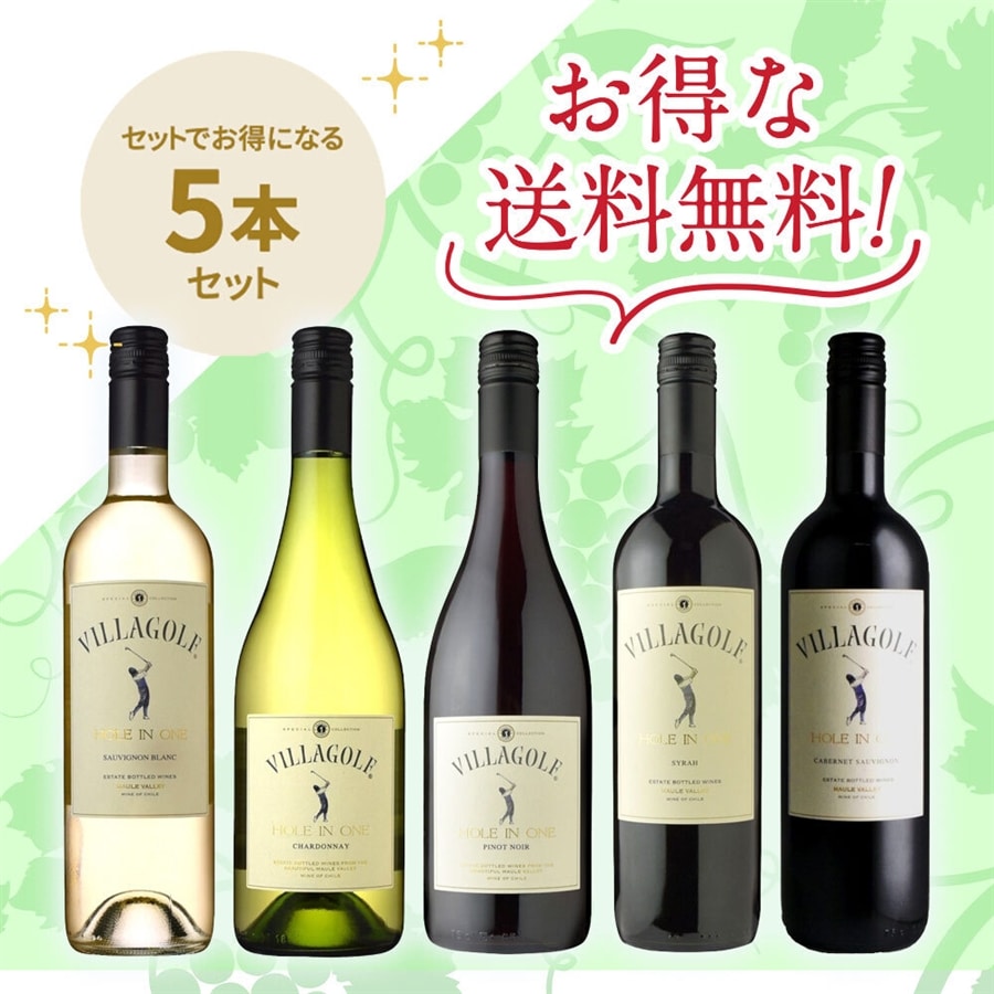 「送料無料」 「信濃屋直輸入チリワインセット」 ヴィラ・ゴルフ5本セット
