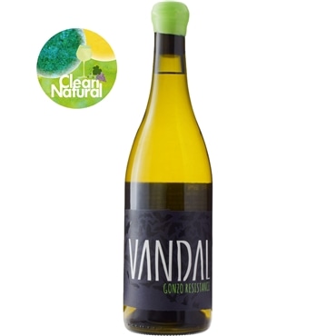 ヴァンダル　ゴンゾー・レジスタンス[2021]