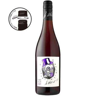 ダヌビアーナ イズ・ディス・イット ピノ・ノワール[2021]