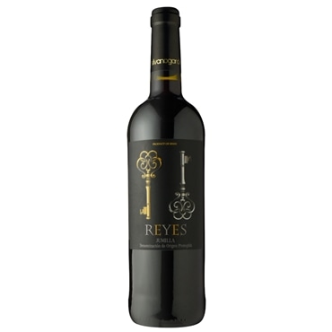 シルヴァーノ・ガルシア レイエス・ティント