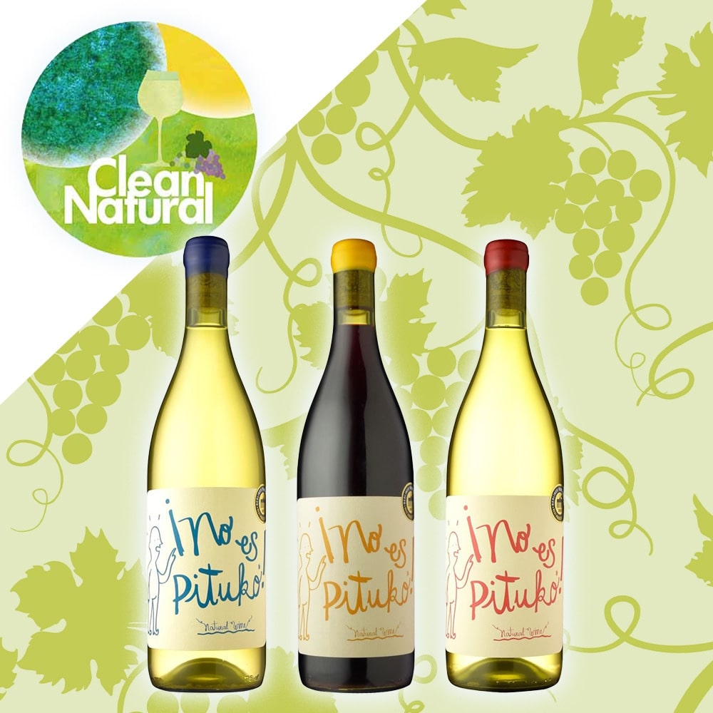 「信濃屋おすすめカジュアル自然派ワインセット」 エチェヴェリア3本セット