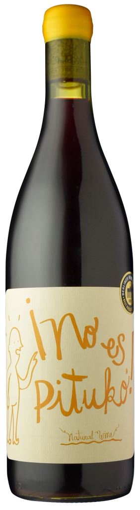 ヴィーニャ・エチェヴェリア ノ・エス・ピトゥコ　カベルネ・フラン[2023]