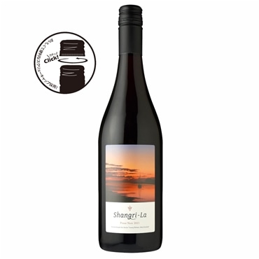 ブラッケンブルック シャングリ・ラ ピノ・ノワール[2021]