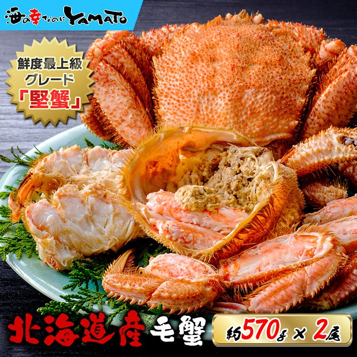 北海道オホーツク産 浜茹で毛蟹 大型570gサイズ×2尾入