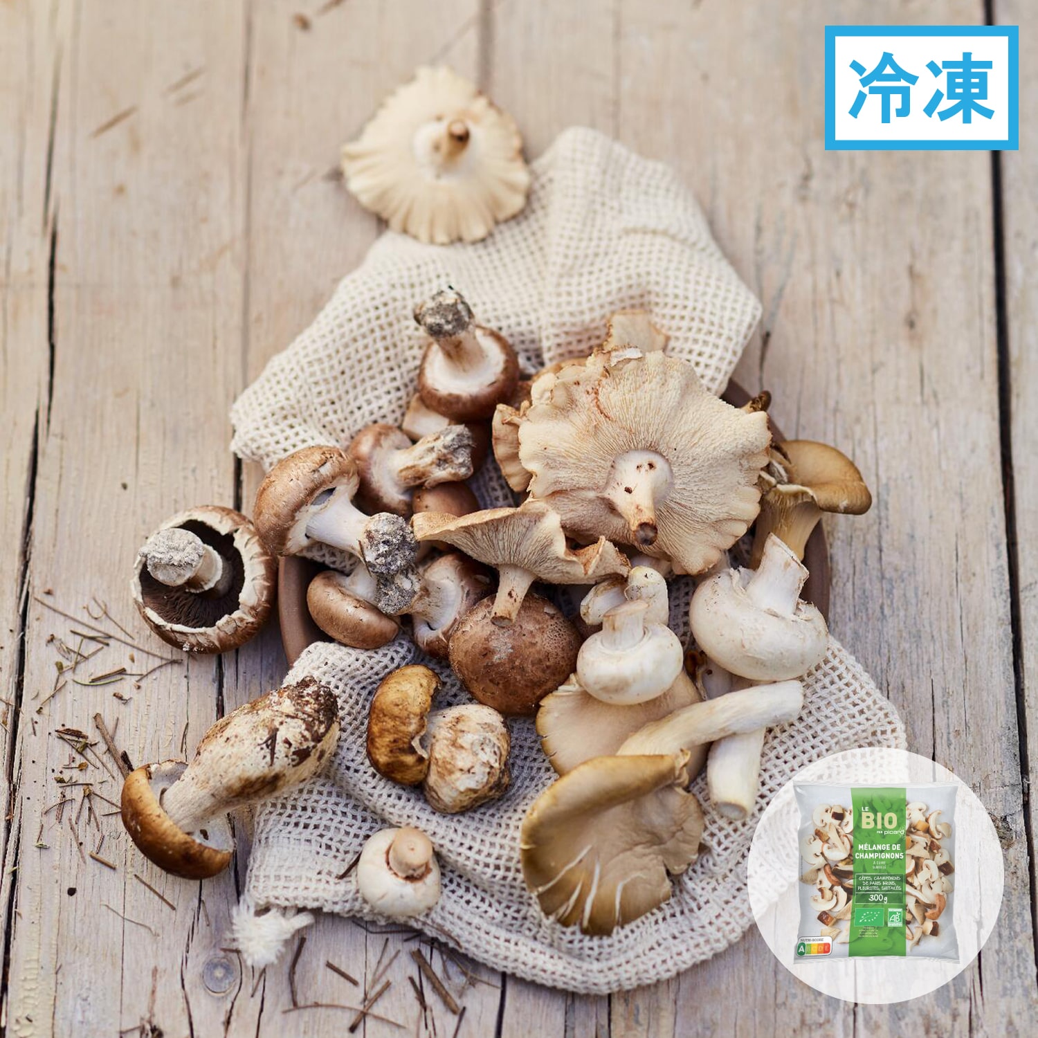 BIO 4種類のキノコミックス