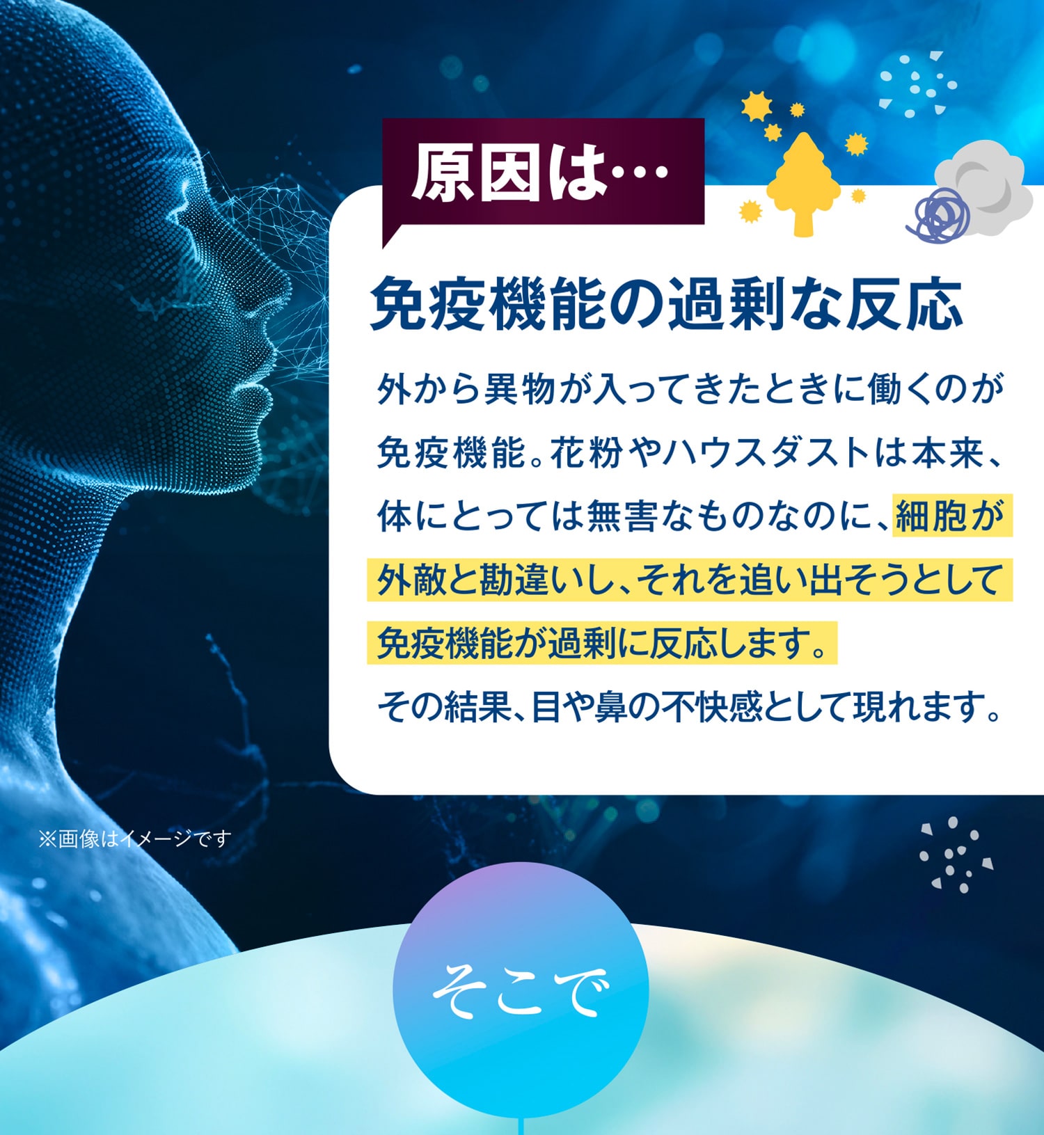 細胞が外敵と勘違いし、それを追い出そうとして免疫機能が過剰に反応します。