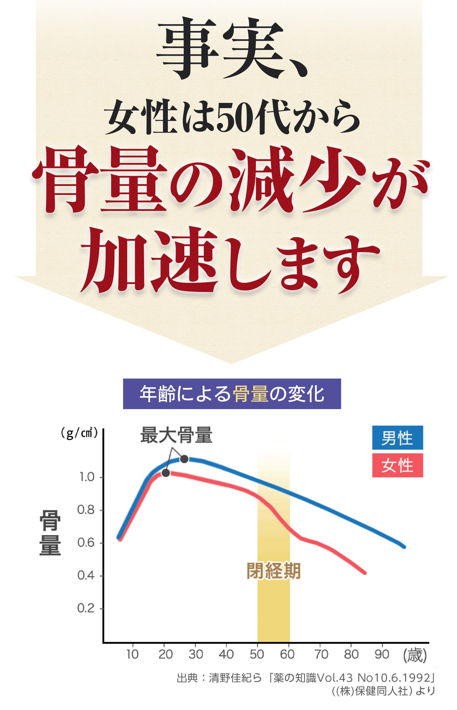 事実、女性は50代から骨量の減少が加速します。年齢による骨量の変化