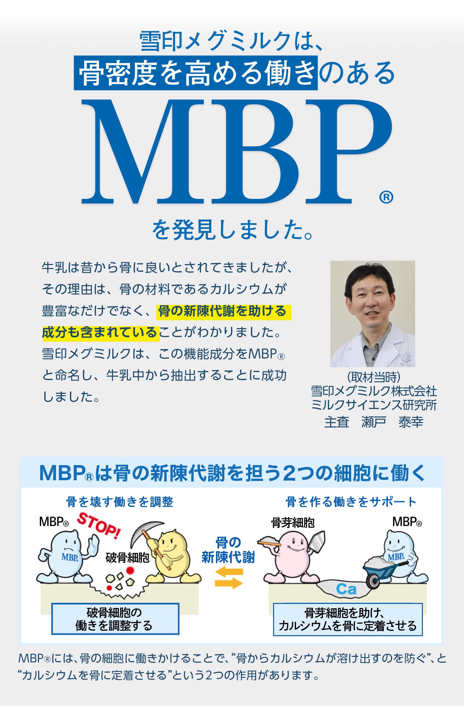 雪印メグミルクは、骨密度を高める働きのあるMBP(R)を発見しました。MBP(R)は骨の新陳代謝を促進する2つの細胞に働く