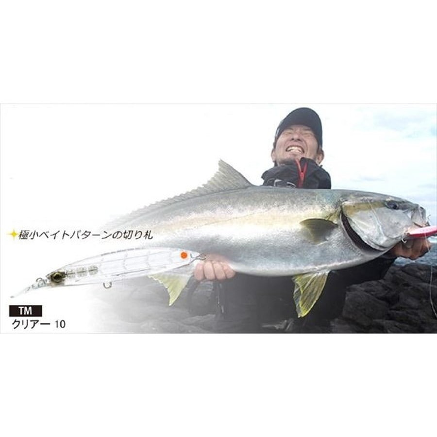 デュエル オフショアプラグ ハードコア バレットファスト (S) 140mm 10 TM クリアー