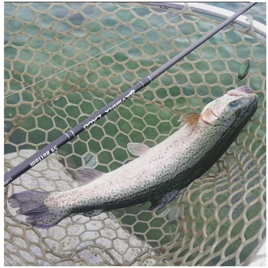 テイルウォーク トラウトロッド シルバーナラゴ 58/SL Micro