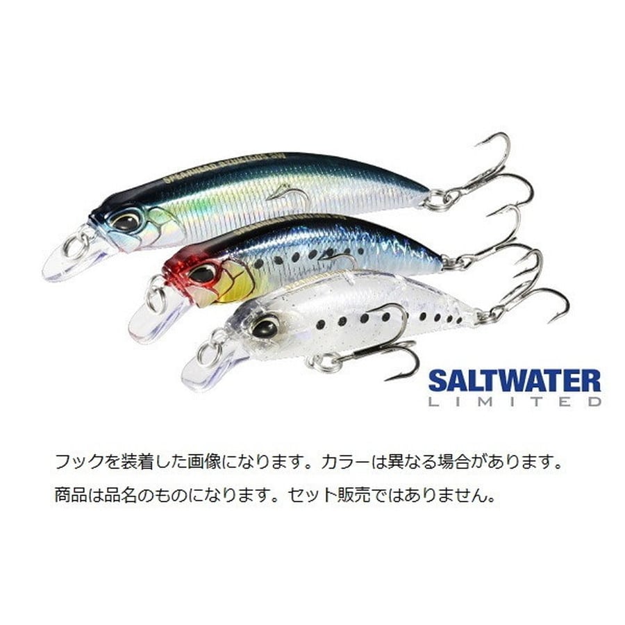 デュオ スピアヘッド リュウキ60S SW CPB0054 玄海イワシ