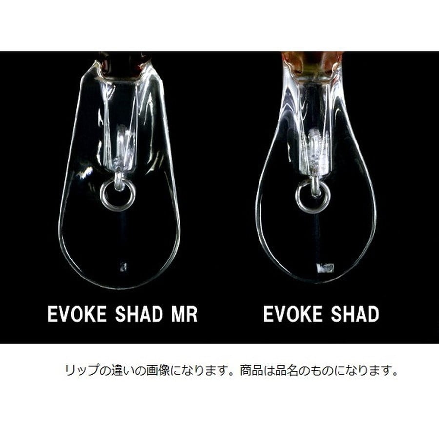 デプス バスルアー イヴォークシャッド #07 プロブルーシャッド