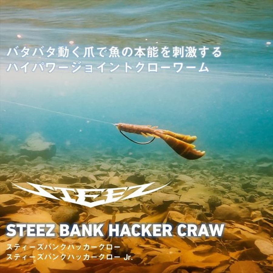ダイワ ワーム スティーズバンクハッカークロー ミステリーパープル