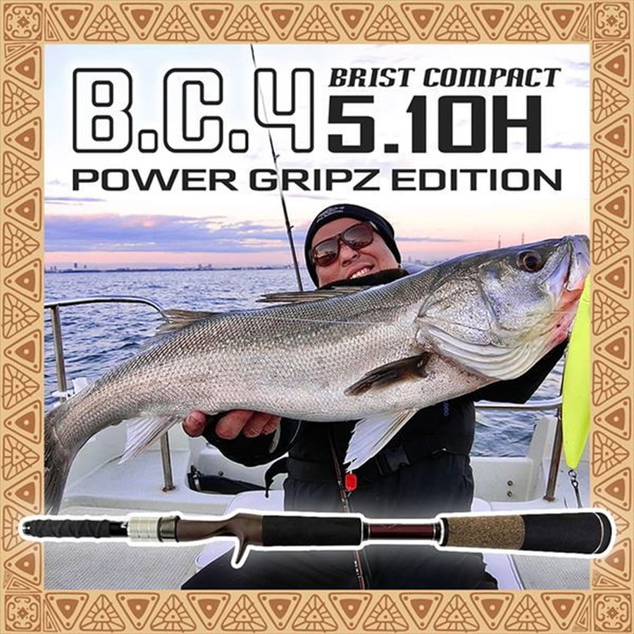 フィッシュマン BC4 5.10H パワーグリップエディション