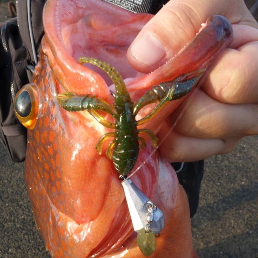 ルーディーズ ハタ喰い 蝦 2.5インチ フナムシ