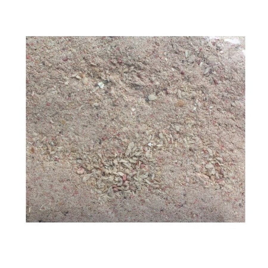 マルキュー エサ グレパワー沖撃ちスペシャル