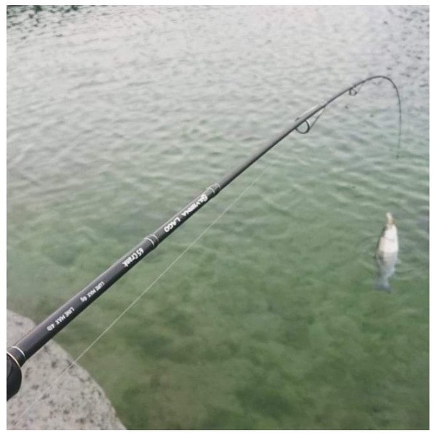 テイルウォーク トラウトロッド シルバーナラゴ 58/SL Micro