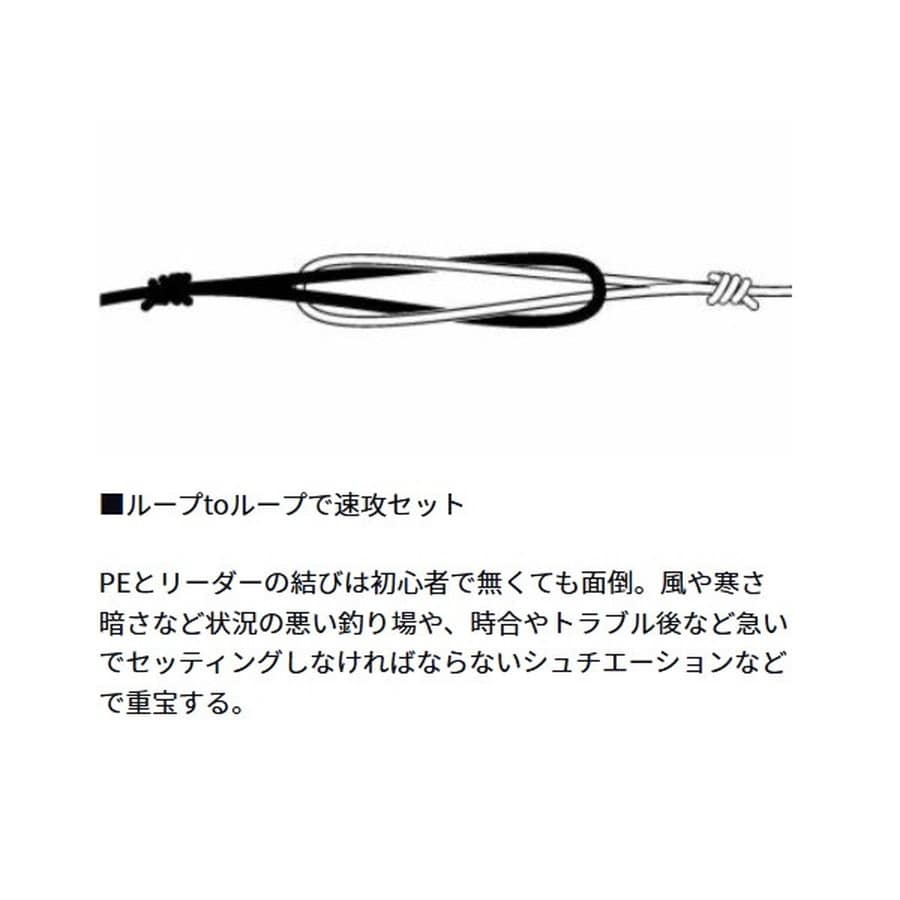 ダイワ リーダー 速攻ショックリーダー Dスナップライト 2号/8lb