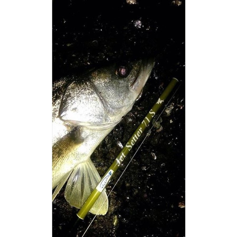 ジェットスロウ ルアーロッド JS ジェットセッター 71S