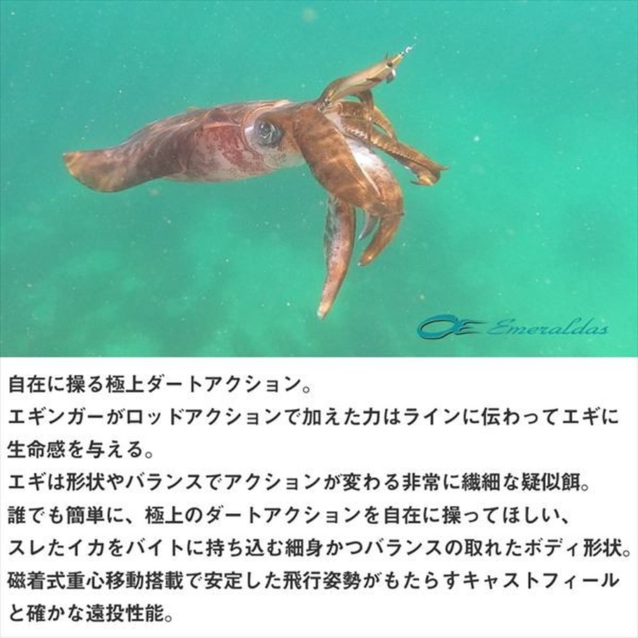 ダイワ エギ エメラルダスダートLC TypeS 3.5 ブルー夜光-ブルーアジ