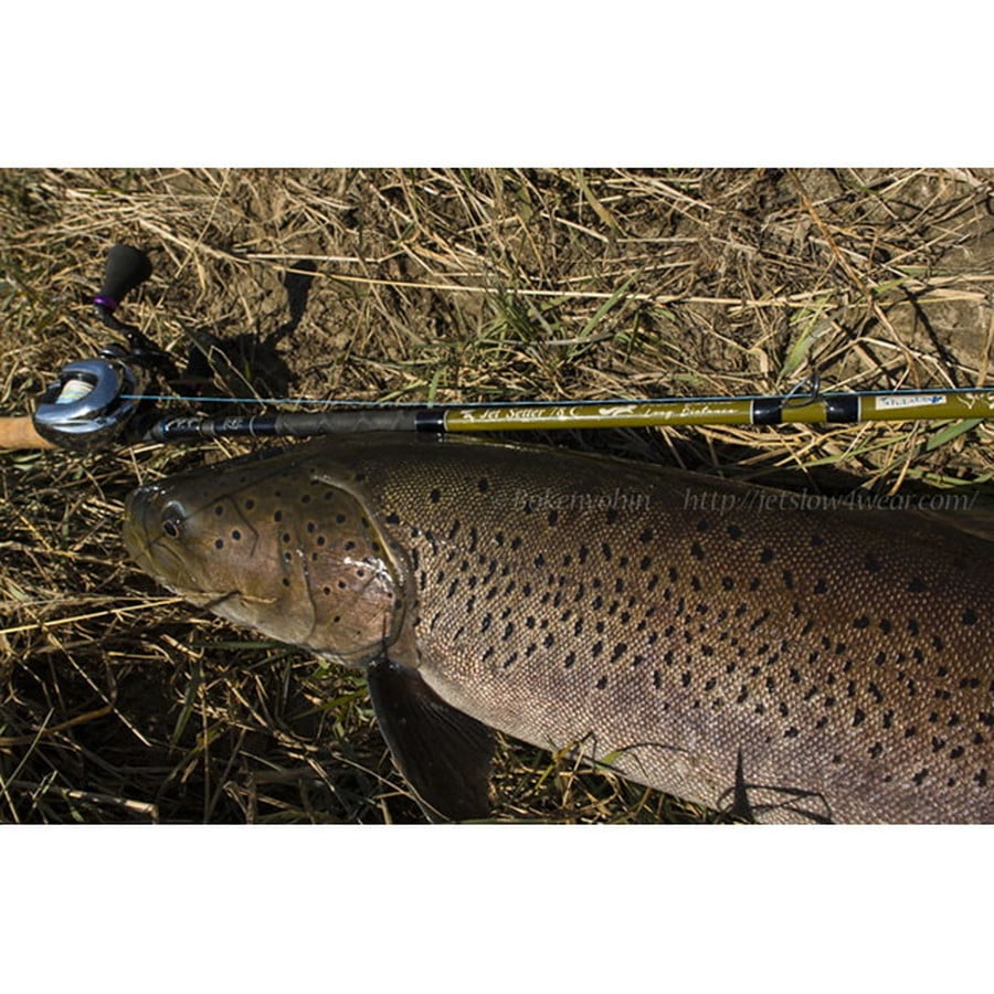 ジェットスロウ ジェットセッター 78C