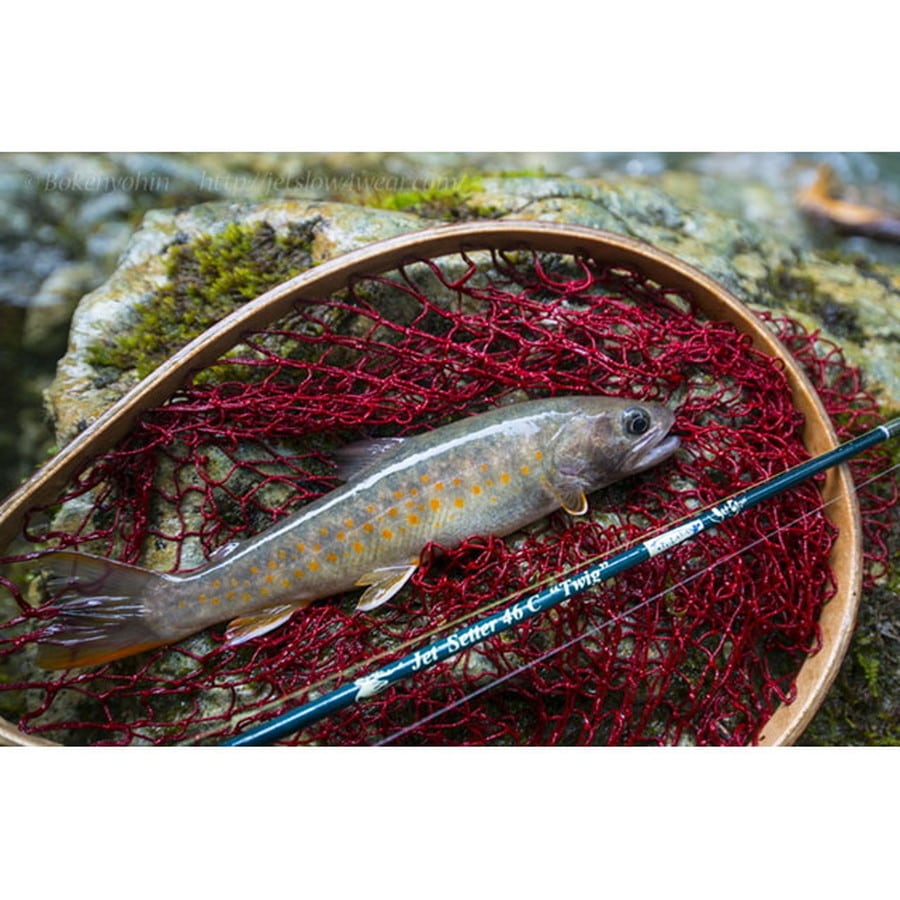 ジェットスロウ ジェットセッター 46C