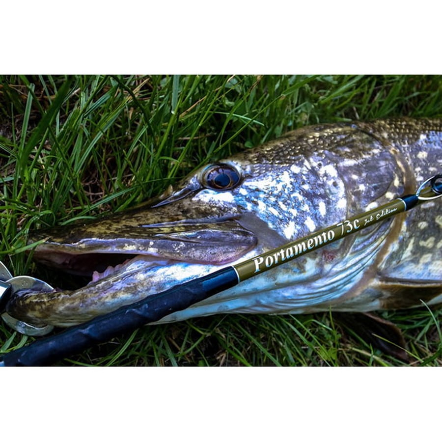 ジェットスロウ ポルタメント 73C