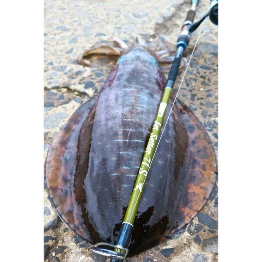 ジェットスロウ ルアーロッド JS ジェットセッター 71S