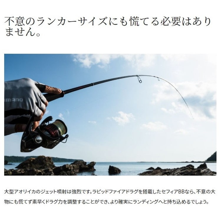 シマノ スピニングリール 22セフィアBB C3000SDHHG: 釣具の 