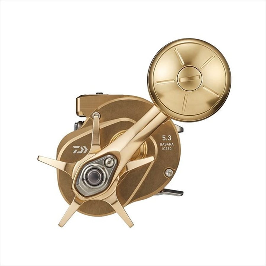 ダイワ 21バサラ IC 250PL 2021モデル (左巻)