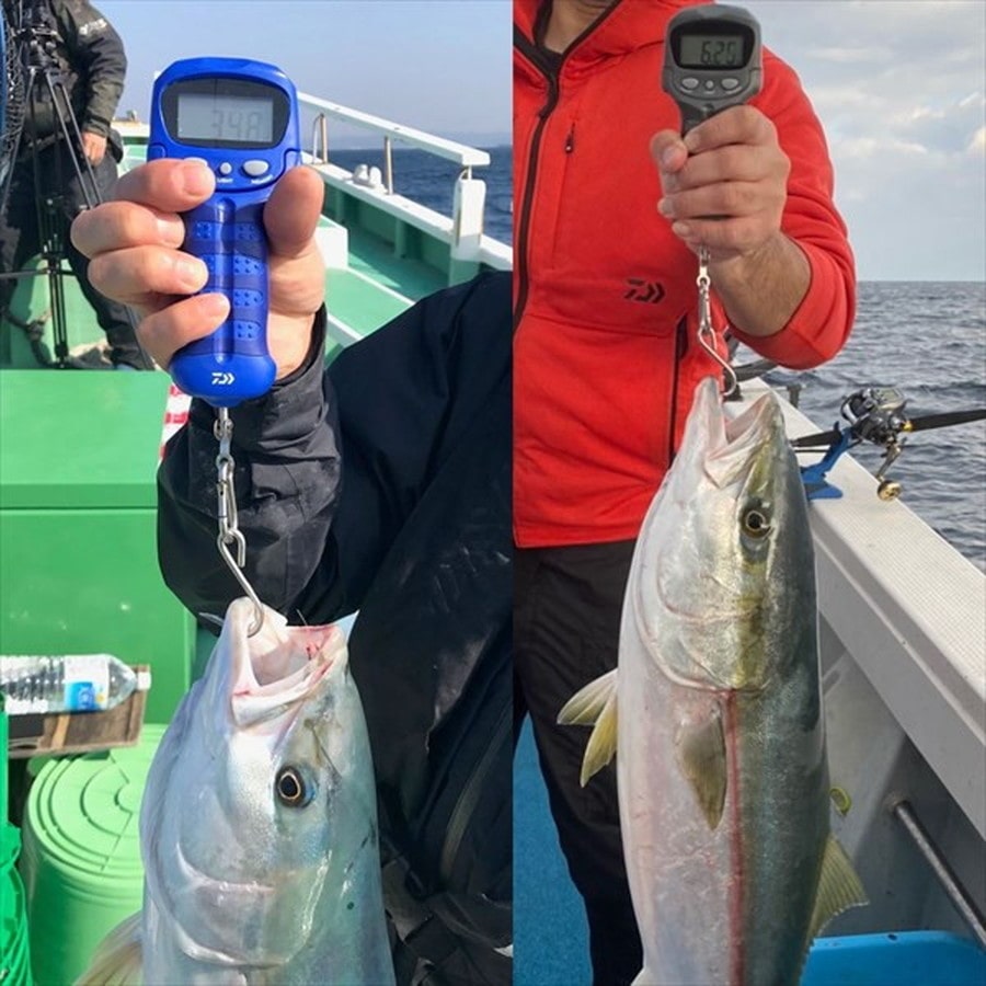 ダイワ デジタルスケール25 グレー