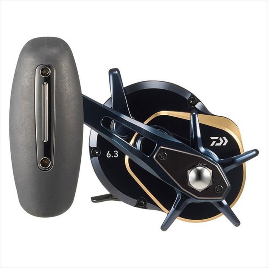 ダイワ ベイトリール 25ソルティガ（SALTIGA） 10 (右): 釣具の