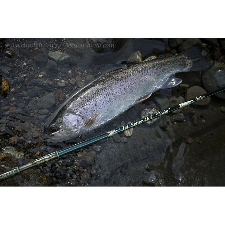 ジェットスロウ ジェットセッター 46C
