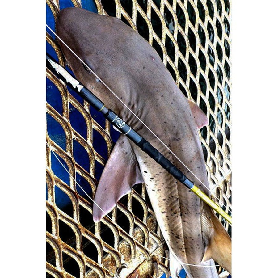 ジェットスロウ ポルタメント 73C