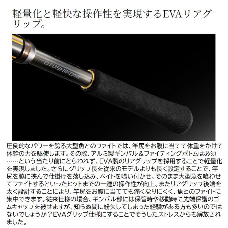 シマノ 船大物竿 25アルシエラ落し込み 73H230