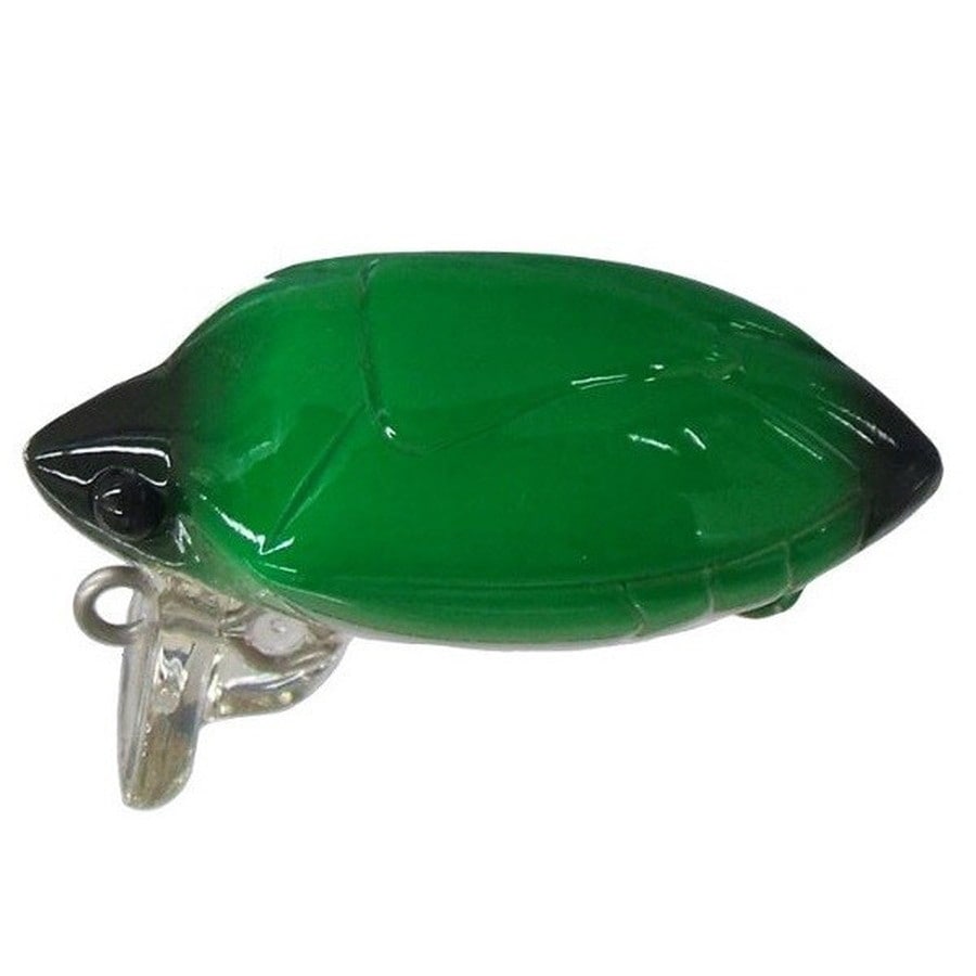 スミス 亀主 23エゾカメムシ