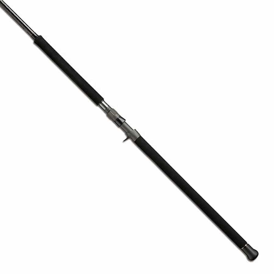 テイルウォーク TW オキナワマンビカ C100SSXH