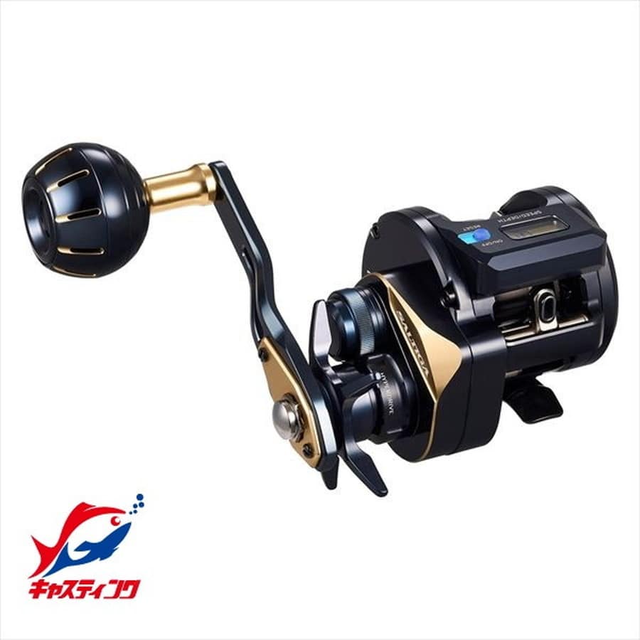 ダイワ ベイトリール 25ソルティガIC 100H-C(右)