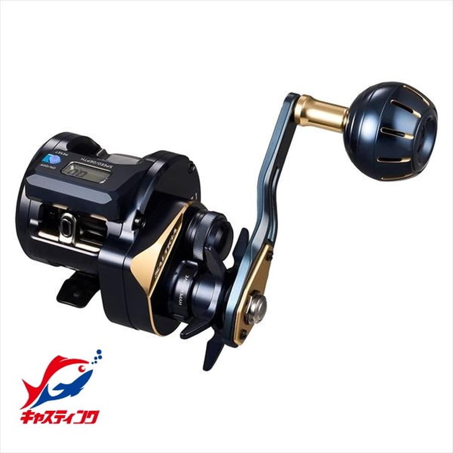 ダイワ ベイトリール 25ソルティガIC 100HL-C(左)