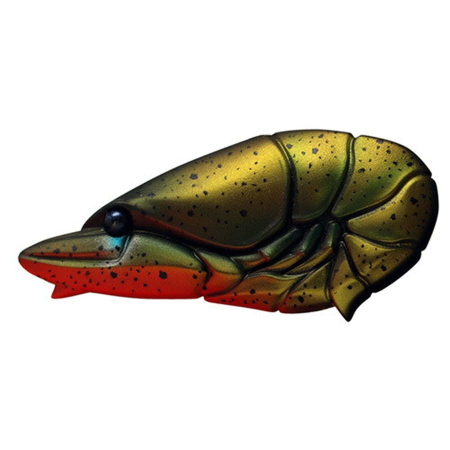 イッセイ G.C.ザリバイブJr57 ウチダザリガニ