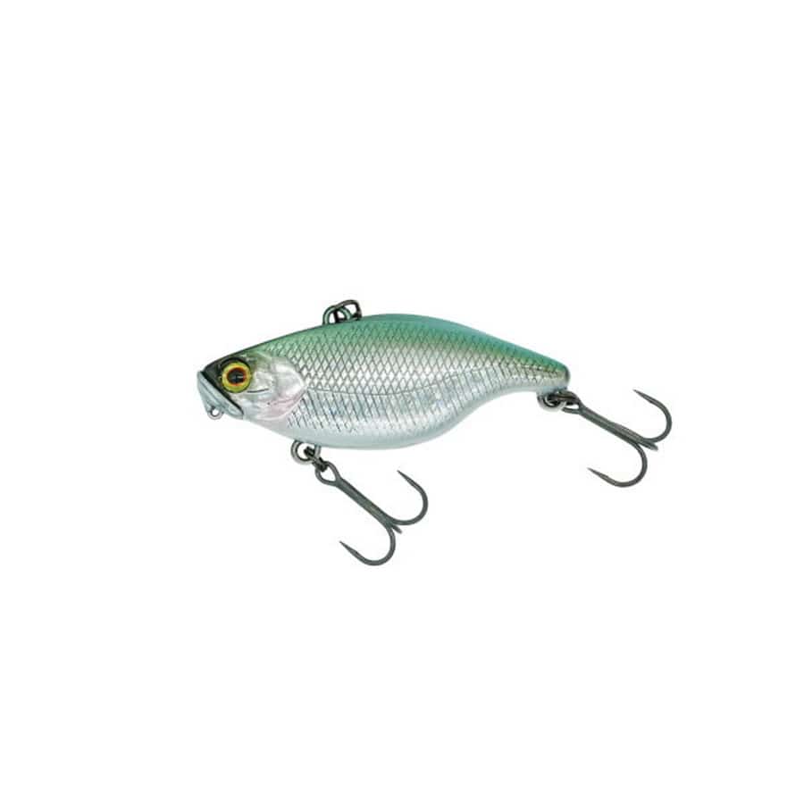 ディスタイル バスルアー TN50 TypeD RS 銀牙鮒