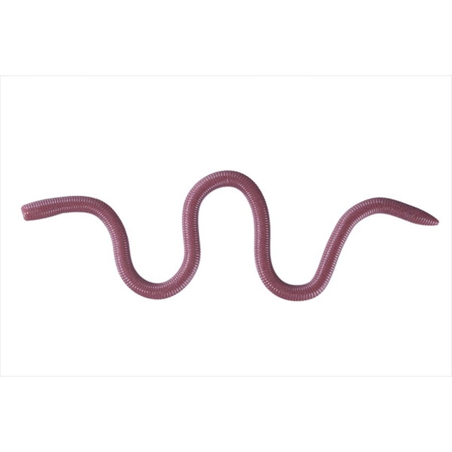 OSP オーエスピー ワーム MMZ デカ WF050みみずぅ(高浮力)