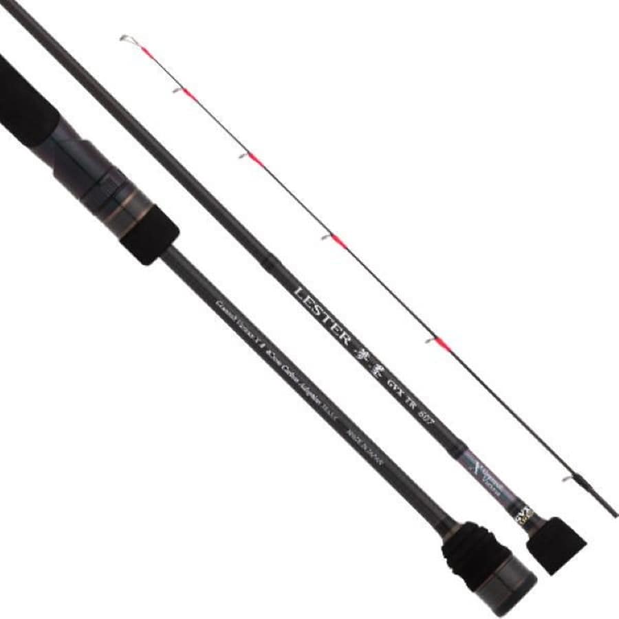 宇崎日新 アレス(ARES) エギングロッド LESTER 夢墨GVX TR6.7 (スピニング/2ピース)