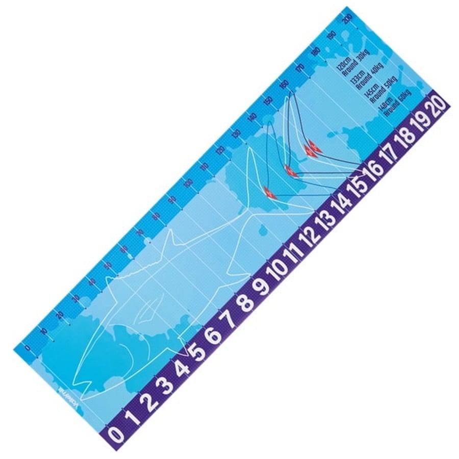 バレーヒル ビックフィッシュメジャー 200