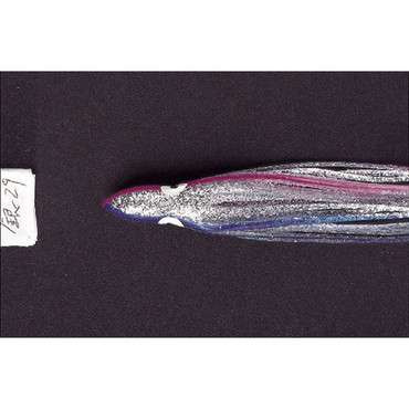 ヤマリア LP タコ･オーロラ 2.5 銀29